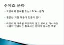 항로(수에즈 운하, 파나마 운하) 6페이지