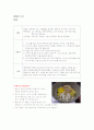 한국전통음식실습일지 45페이지