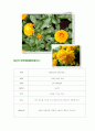 조리실무용어 6페이지