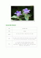 조리실무용어 36페이지