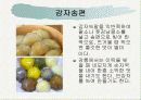 전통병과 실습 - 각지방 떡의 종류 14페이지