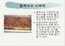 전통병과 실습 - 각지방 떡의 종류 15페이지