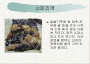 전통병과 실습 - 각지방 떡의 종류 28페이지
