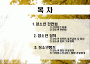 청소년 제도 (청소년관련법,복지,정책) 2페이지