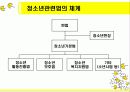 청소년 제도 (청소년관련법,복지,정책) 5페이지