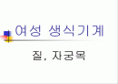 여성 생식기계 - 질, 자궁목 1페이지