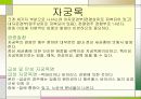 여성 생식기계 - 질, 자궁목 11페이지