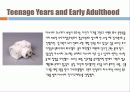 마쓰시타 고노스케 (발표본) 6페이지