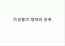 미생물의 형태와 분류 1페이지