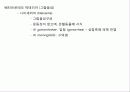 미생물의 형태와 분류 8페이지