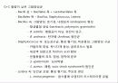 미생물의 형태와 분류 16페이지