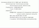 미생물의 형태와 분류 21페이지
