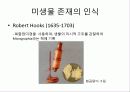 미생물의 정의 및 발견 현태와 분류 3페이지