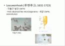 미생물의 정의 및 발견 현태와 분류 4페이지