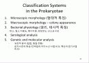 미생물의 정의 및 발견 현태와 분류 24페이지