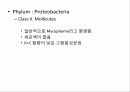 미생물의 정의 및 발견 현태와 분류 37페이지