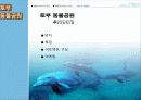 생물형 테마파크 (Nature&Life) - 토부 동물공원 구성과 마케팅 6페이지