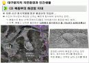 [인간과 자연] 대구분지의 자연환경과 인간생활 20페이지