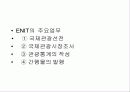 국제관광론_이탈리아 - 자연환경, 관광수지, 문화유산, 지중해 9페이지