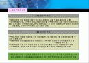 국제제품전략 8페이지