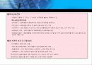 국제제품전략 13페이지