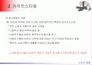 개성과 라이프스타일 19페이지