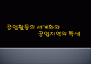 공업활동의 세계화와 공업지역의 특색 1페이지