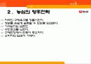 농심의 중국진출사례 23페이지