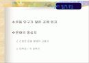 민들레영토 17페이지
