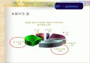 민들레영토 25페이지