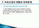 비료산업의 현황과 개선방안 33페이지