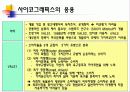 사이코그래픽스 26페이지