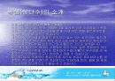 생수시장에 관한 경영조사 13페이지