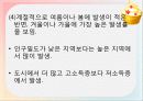소 아 비 만 15페이지