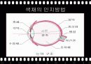 색과_건강 4페이지