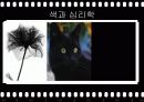 색과_건강 6페이지