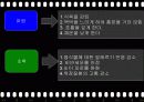색과_건강 10페이지