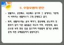 수질 오염의 문제와 대책 4페이지
