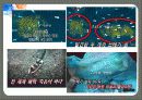 수질 오염의 문제와 대책 9페이지