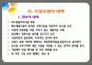 수질 오염의 문제와 대책 17페이지