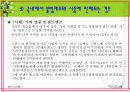 명품 소비자피해 20페이지