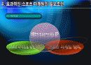 스포츠마케팅 17페이지