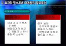 스포츠마케팅 19페이지