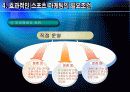 스포츠마케팅 25페이지