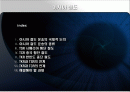 아시아철도운송(TSR,TCR,TKR의연계가능성) 2페이지