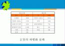 오뚜기 진라면 마케팅 사례분석 19페이지