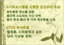 요가운동 프로그램이 여대생의 월경곤란증,월경통증 및 바소프레신 농도에 미치는 영향 13페이지