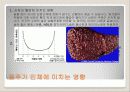 음주 및 흡연과 건강 11페이지