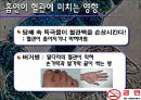 음주 및 흡연과 건강 30페이지