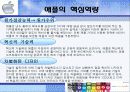 애플 기업분석 및 성공요인 10페이지
